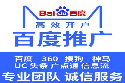 竞价广告策略案例分析